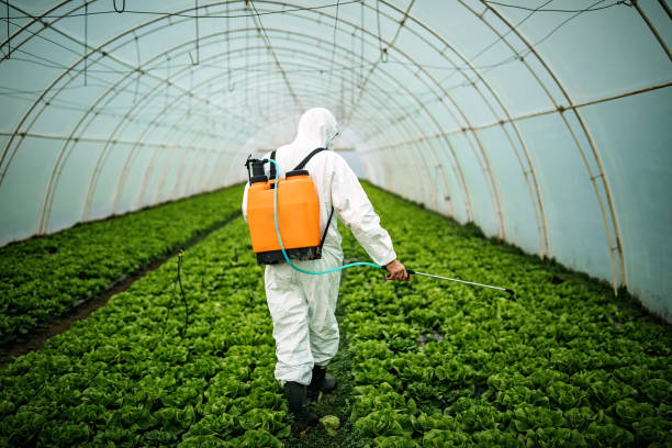 Best Affordable Pest Control Services  in Atco, NJ