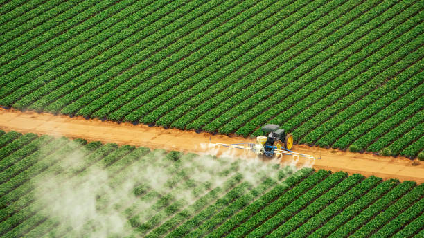 Best Cockroach Control Services  in Atco, NJ