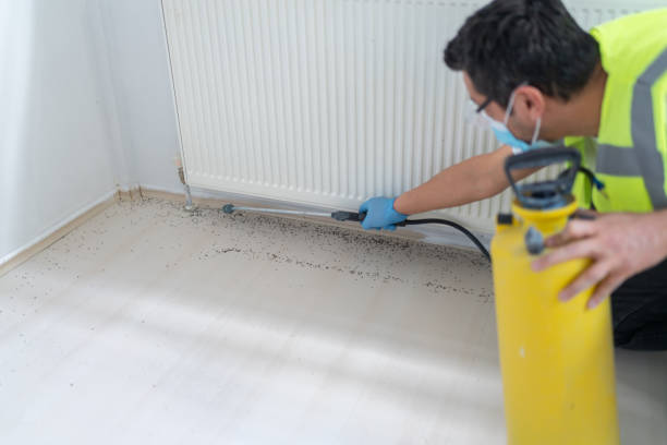 Wasp Removal Services in Atco, NJ