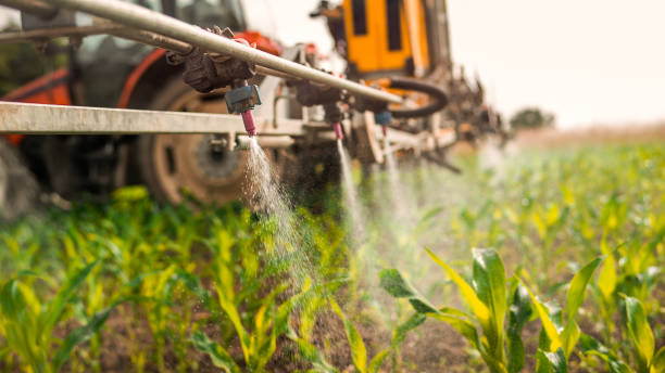 Best Mosquito Control Services  in Atco, NJ